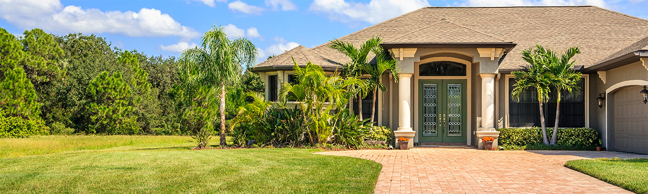 A home with palm trees and pine trees surrounding it.