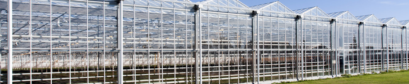 An industrial greenhouse on a sunny day.